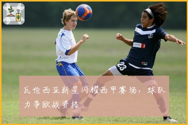 瓦伦西亚新星闪耀西甲赛场，球队力争欧战资格