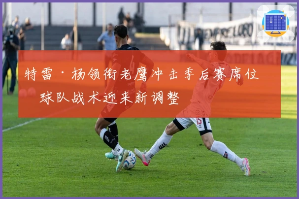 特雷·杨领衔老鹰冲击季后赛席位，球队战术迎来新调整