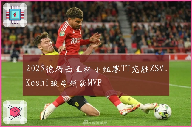 2025德玛西亚杯小组赛TT完胜ZSM，Keshi狼母斩获MVP