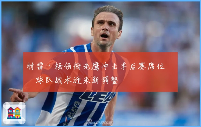 特雷·杨领衔老鹰冲击季后赛席位，球队战术迎来新调整