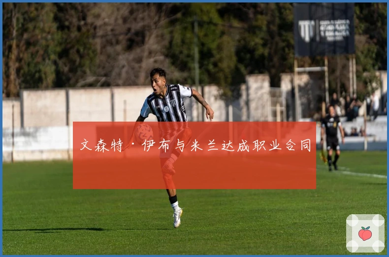 文森特·伊布与米兰达成职业合同